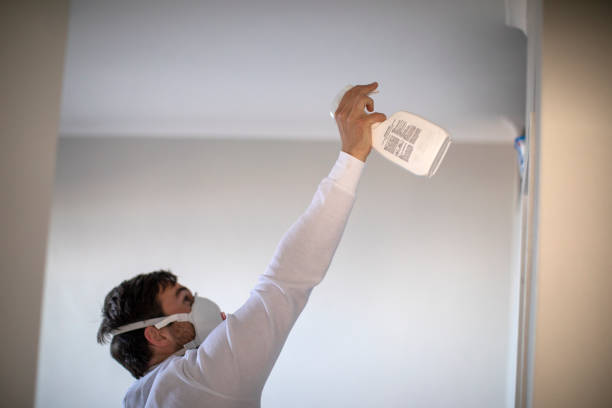 Attic Mold Removal in Carrollton, IL