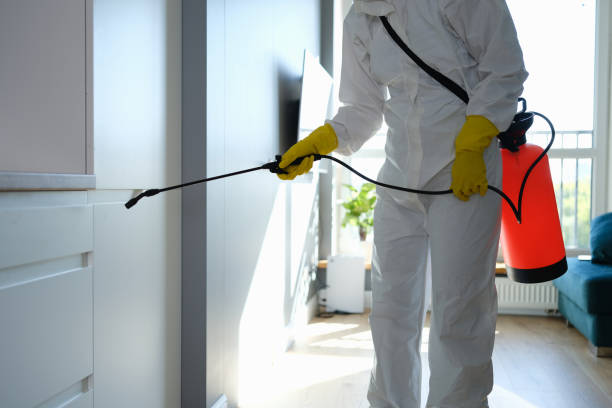Best Home Mold Removal  in Carrollton, IL