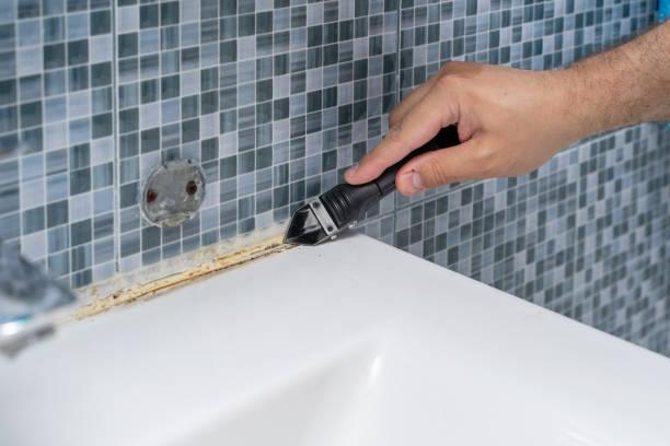 Best Toxic Mold Removal  in Carrollton, IL