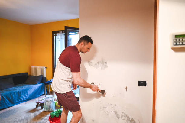 Best Toxic Mold Removal  in Carrollton, IL